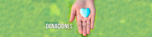 donaciones